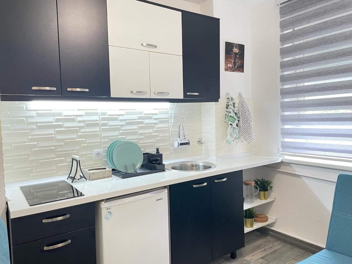 Apartament The Blue Velvet Belgrad